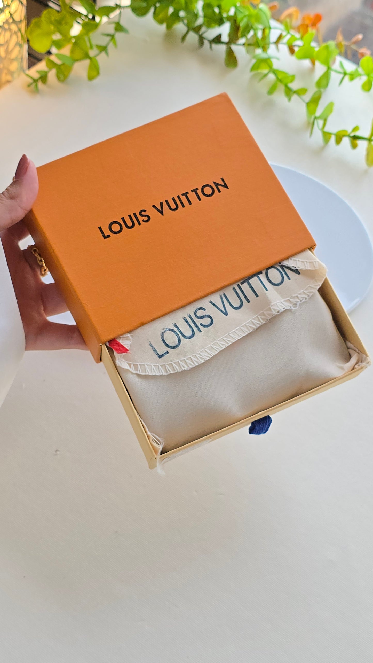 Mini Portefeuille LV - Livraison gratuite